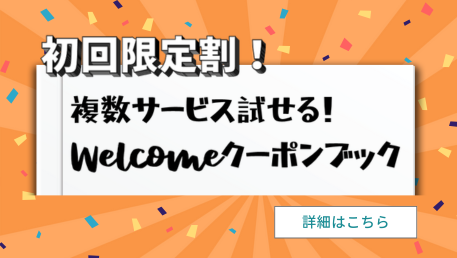 リピーター割ANTA ZAP3 US9　当日配送 リピーター割ANTA ZAP3 US9 当日配送